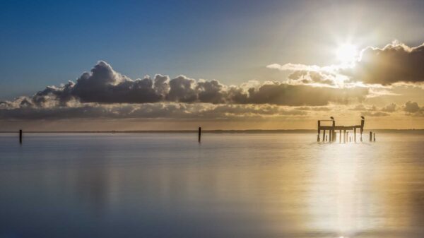 Sunrise sur le lac de Biscarrosse – Image 2